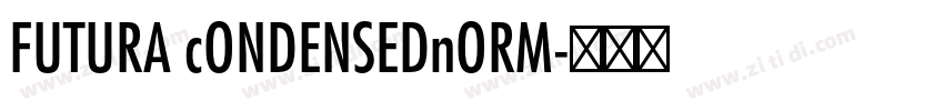 FUTURA cONDENSEDnORM字体转换